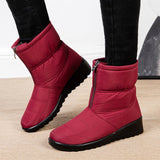Vinho